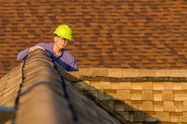 Best Local Roofing Companies  in Chicago Heights, IL