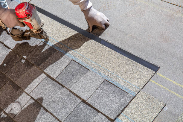 Best Shingle Roofing Installation  in Chicago Heights, IL